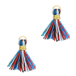 Kwastje 1 cm goud / multicolour red blue