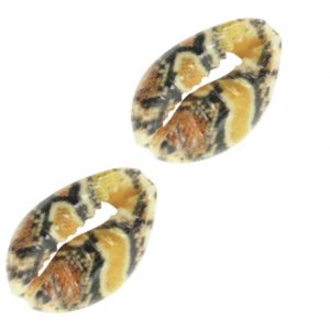 Kauri schelp kraal 16 x 14 mm snake patroon