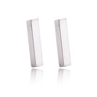 Oorbellen RVS staafjes 10 x 3 mm zilverkleurig