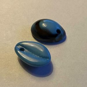 Kauri schelp blauw / zwart gewolkt 17 x 12 mm.