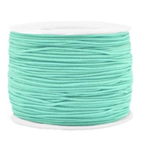 Gekleurd elastisch draad 1.2 mm. Neo mint green. Per meter